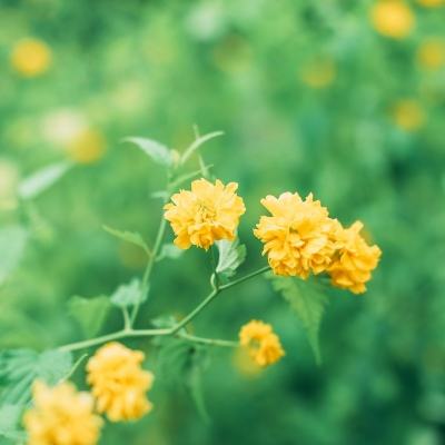 暗黑神域天堂公益服手游下载